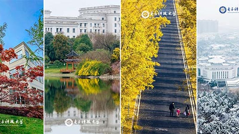 电子配件材质选择：如何从性能与成本中找到平衡点**